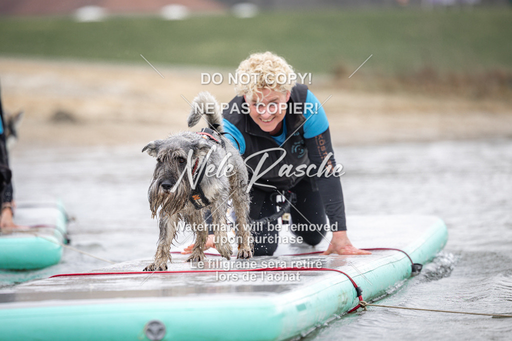 nelerasche_Hulsbeek_Sa1100-1130_706 | nelerasche