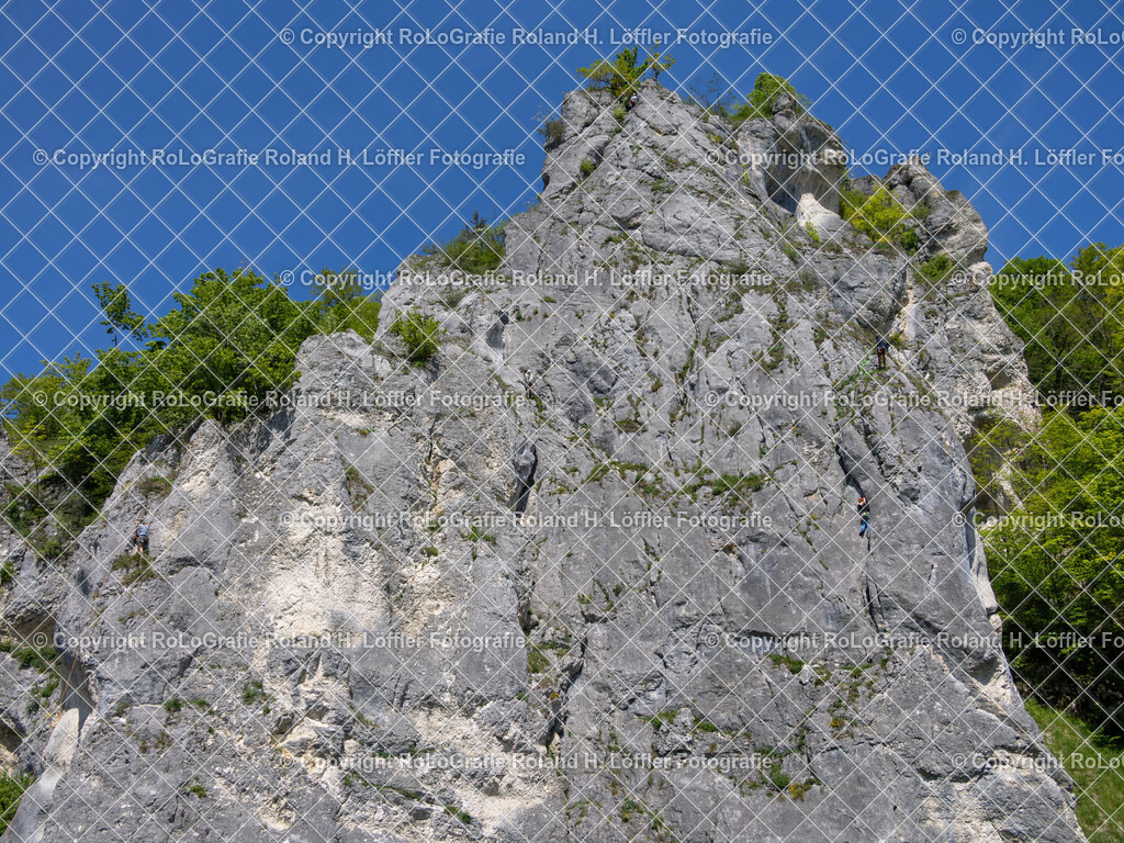 20240511_Fototag-Donautal-34 | IPTC Infos - Realisiert mit Pictrs.com