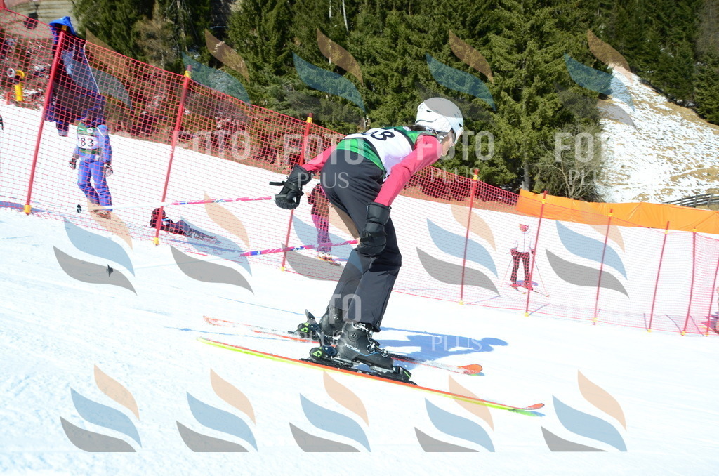 C6102 | holidayphoto