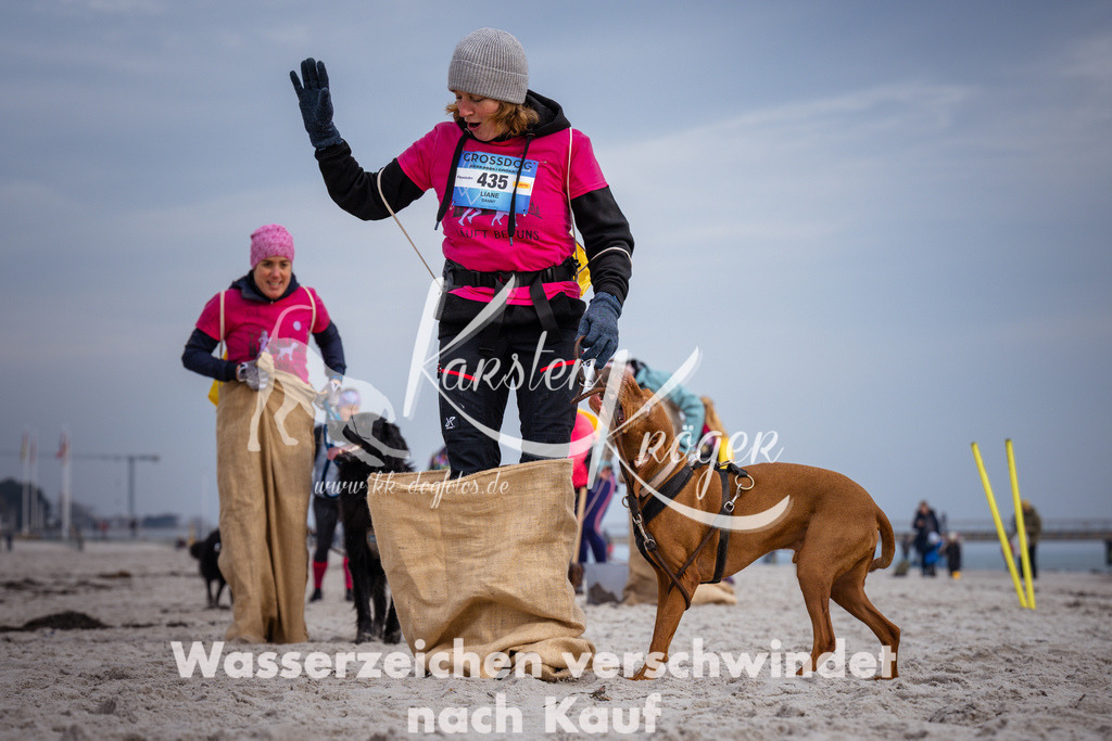 1251_ZZ96271 | kk-dogfotos