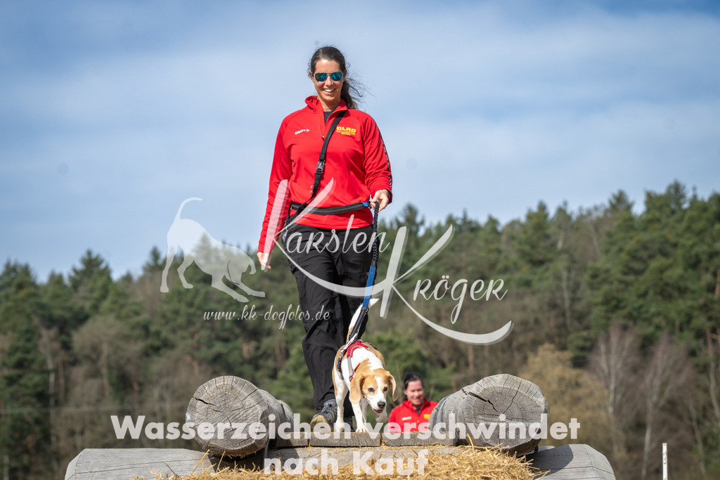 1045_ZZ93661 | kk-dogfotos