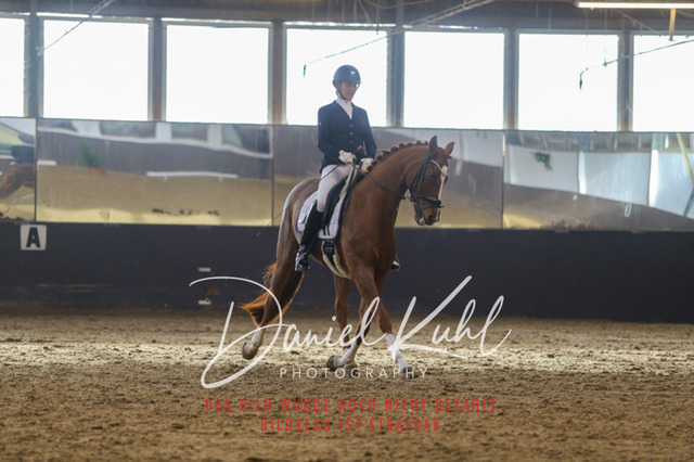 IMG_7326 | Turniersportfotografie; Pferdefotografie; Dressurfotografie