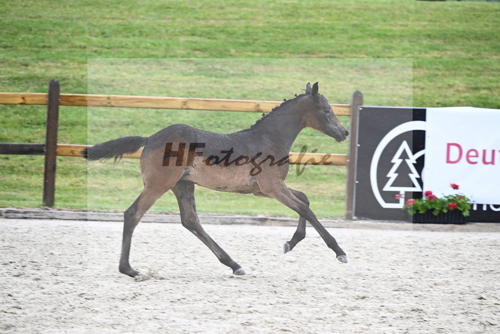 Kat-Nr. 44 SF Vingino_Illia_17231495 | hf-fotografie - Realizzato con Pictrs.com