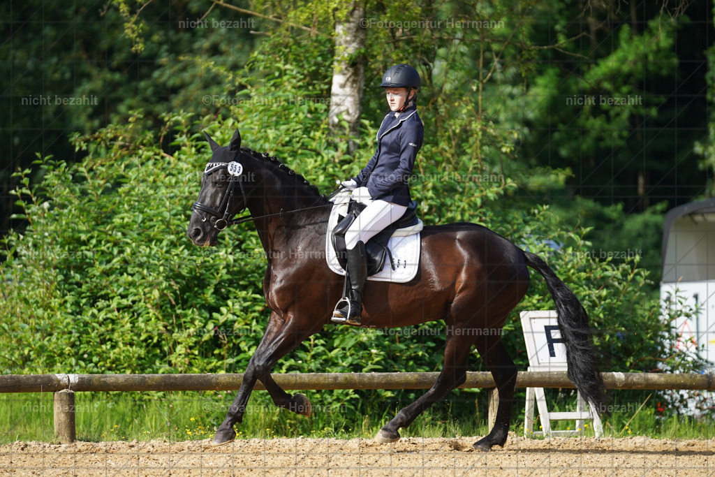 20240706-FAH04443 | Grafing Turnierfotos, Reitverein Ebersberg, Turnierfotografen Bayern, reitsportbilder, Pferdefotograf, reitsportfotograf, Sportbilder, Reitsportfotografie, Fotoagentur Herrmann, Turnierfotograf