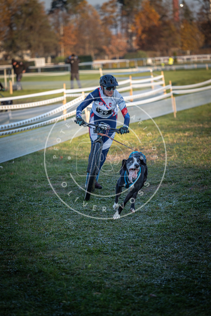 CaniXpix_0L8A2060 | Hundefotografie, Tierfotograf, Pfotenfotografie, Fotoshooting Hund, Hunde Portrait, Hundesport, Hundeportraits, Heideshooting, Hunde, Sportfotograf, Hundefotograf, Turnierhundsport, THS,  - Realisiert mit Pictrs.com
