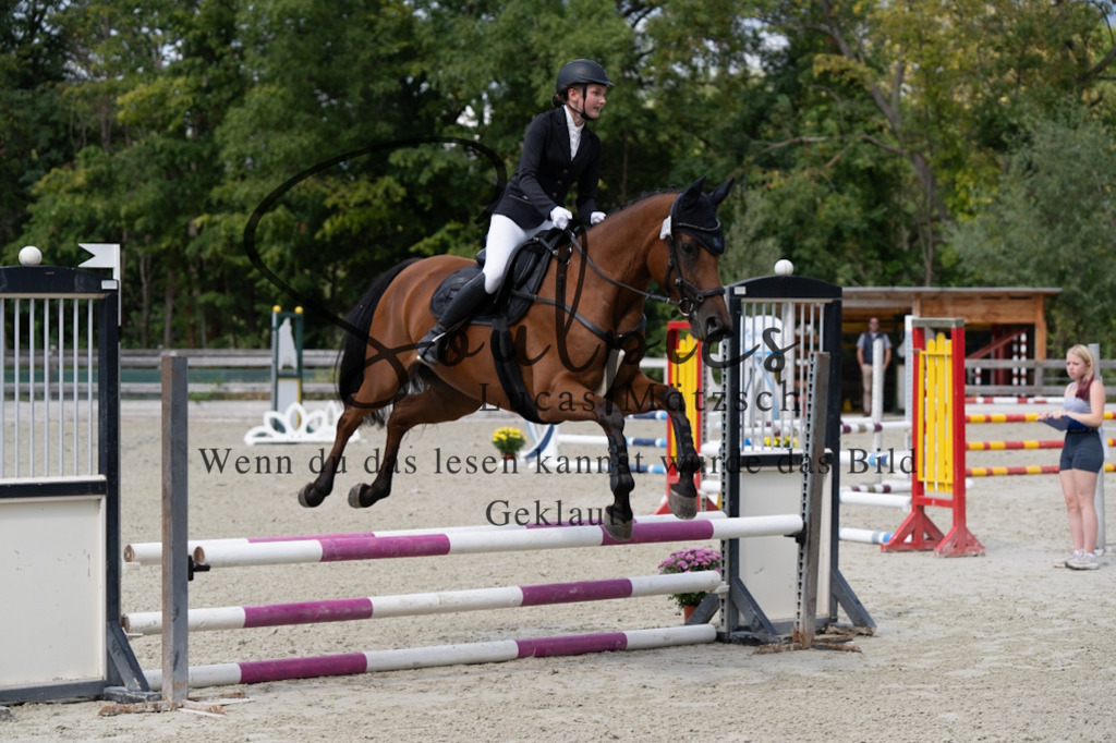 A7V07341 | Pferdefotograf