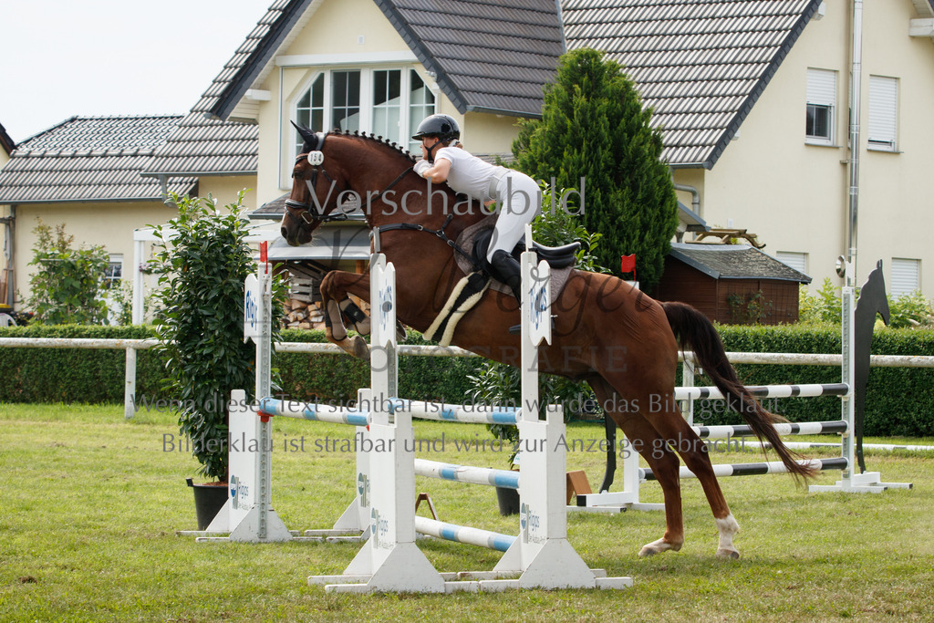 IMG_2992 | P. Berger Fotografie - Realisiert mit Pictrs.com