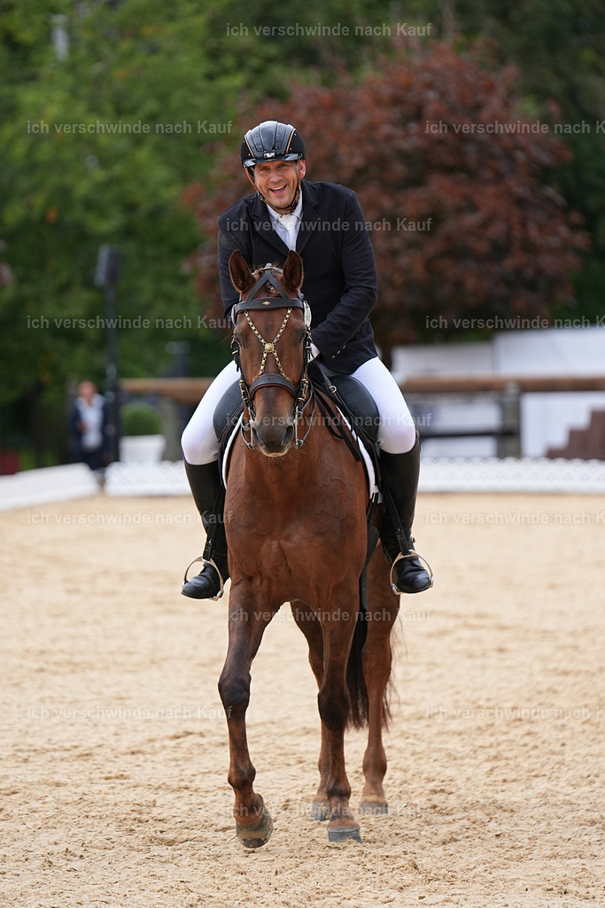 3-239-Dressur M_-Marixx-1939 | working equitationturnier fotograf videograf stoibphotography marixx film working equitation deutschland reitsport turnierfotografie eventfotografie equestrian events
