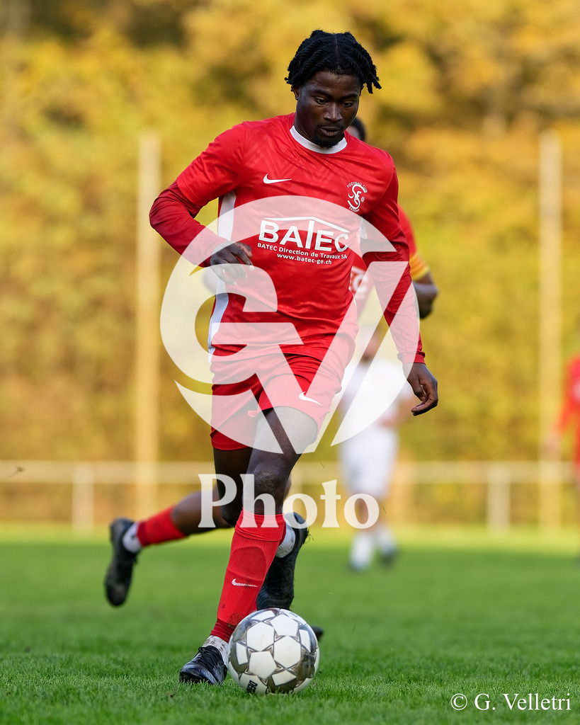 DZ8_9398 | Velletri Photo