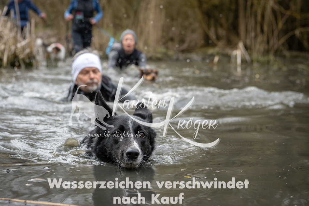 0843_ZZ93330 | kk-dogfotos