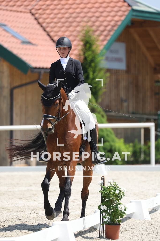 0P6A1650 | Willkommen bei Brunnmayr - Design & Fotografie – Ihrem Spezialisten für Reitturniere und Pferdeveranstaltungen in Oberösterreich, Salzburg und Bayern! Seit über 17 Jahren sind wir leidenschaftlich dabei.