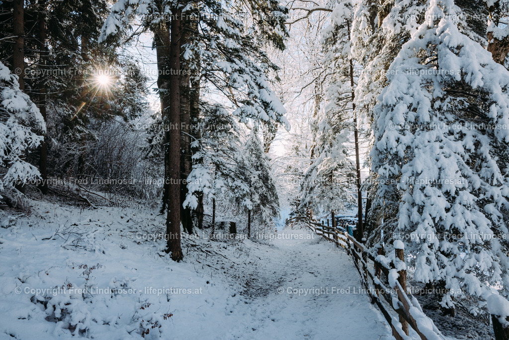 Winterlandschaft Mariazellerland 11122020-0165 | Fotos und Fotoprodukte - Realisiert mit Pictrs.com