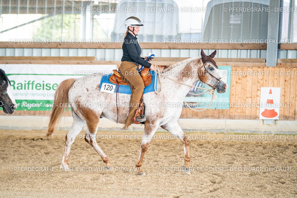 DSC08748 | Pferdegrafie