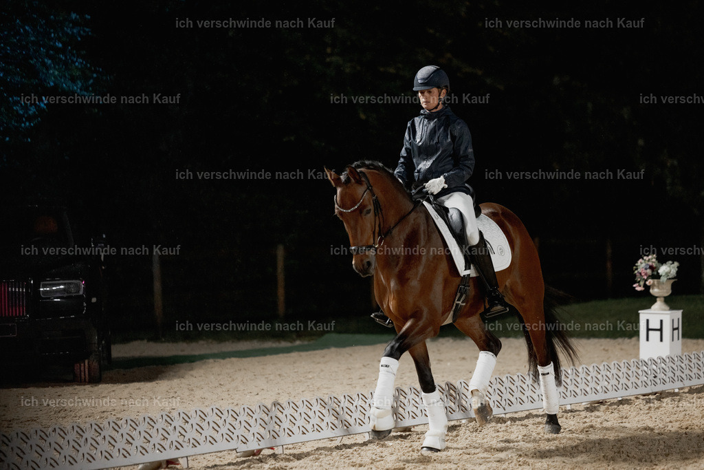 FHClassics-46 | working equitationturnier fotograf videograf stoibphotography marixx film working equitation deutschland reitsport turnierfotografie eventfotografie equestrian events
