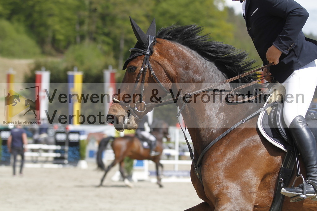 _MG_5304 | equestrian-live-com
