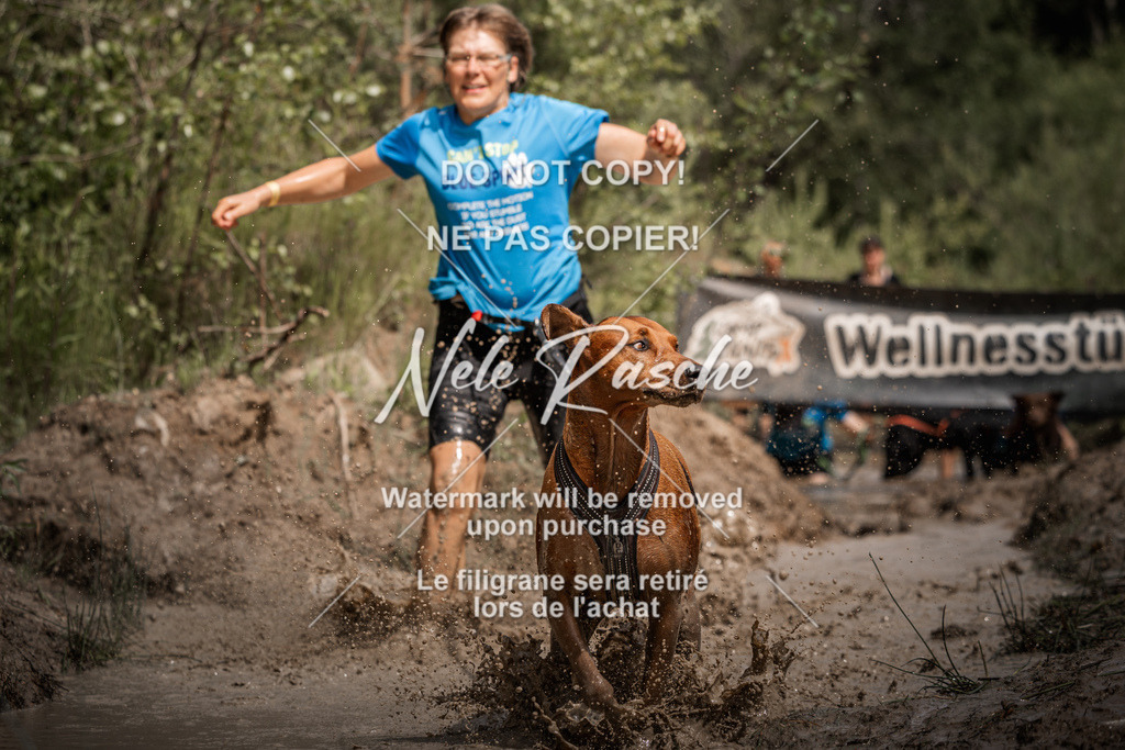 nelerasche_Hoope2026_Sa1100-1130_355 | nelerasche