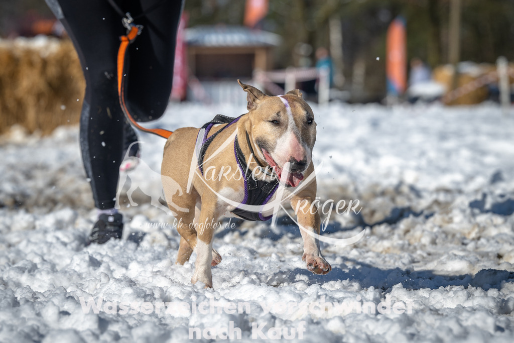 1113_ZZ90704-3 | kk-dogfotos