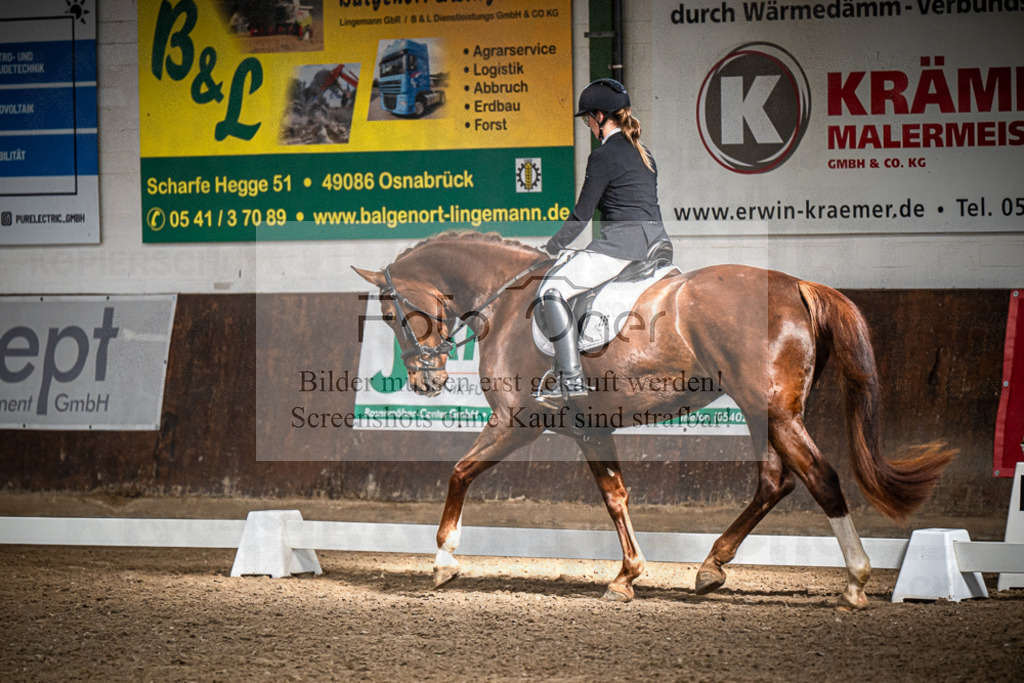 DOS_0343 | Entdecke hochwertige Reitturnierfotos von Foto Oger. Professionell, emotional und authentisch – jetzt Lieblingsmomente im Shop bestellen.Deutschlandweite Turnierfotografie. - Realisiert mit Pictrs.com