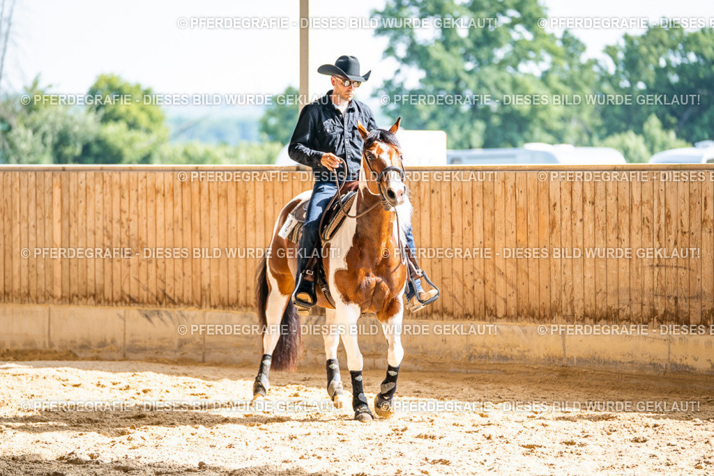 DSC08942 | Pferdegrafie