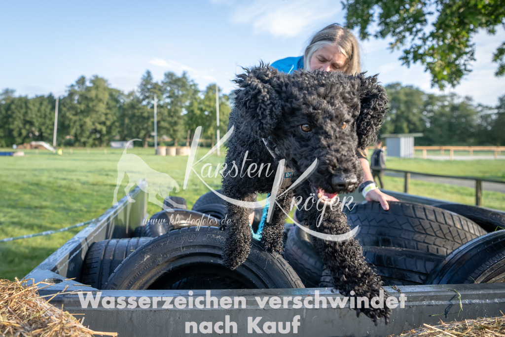 0825_ZZ91353-Bearbeitet | kk-dogfotos