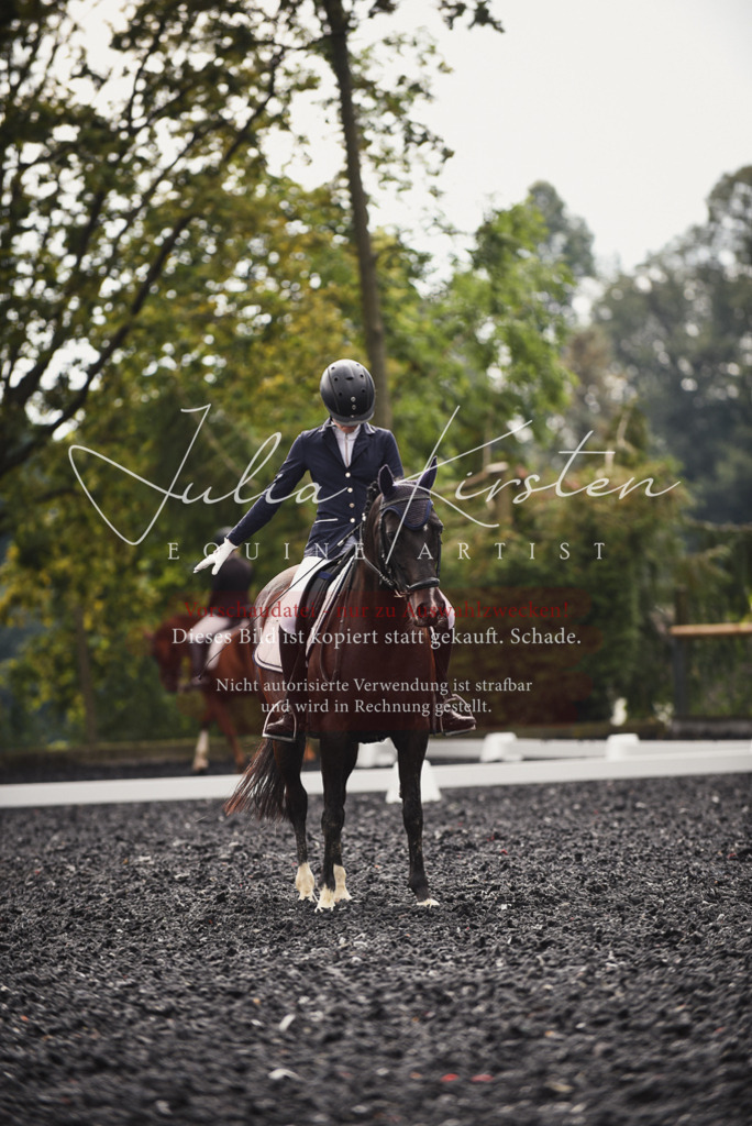 DSC_3950 | Pferde- und Turnierfotografie in Westsachsen. Pferdeportraits, Auftragszeichnungen und intuitive Kunst.