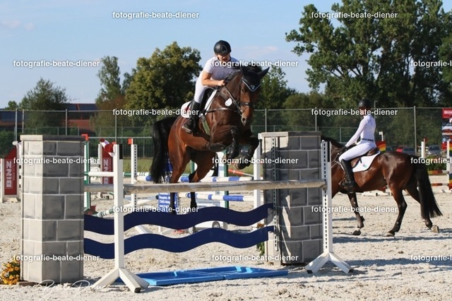 OHT 2022 Röhlingen (126) | Fotografie, Tiere, Hunde, Katzen, Pferde, Sportfotografie, Fotosession, Tierfotografie, Turnierfotografie, Fotografin, Fotograf - Realisiert mit Pictrs.com