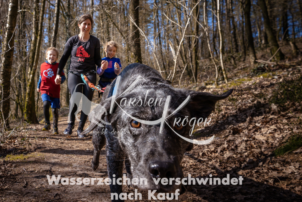 1118_ZZ97504-Bearbeitet | kk-dogfotos