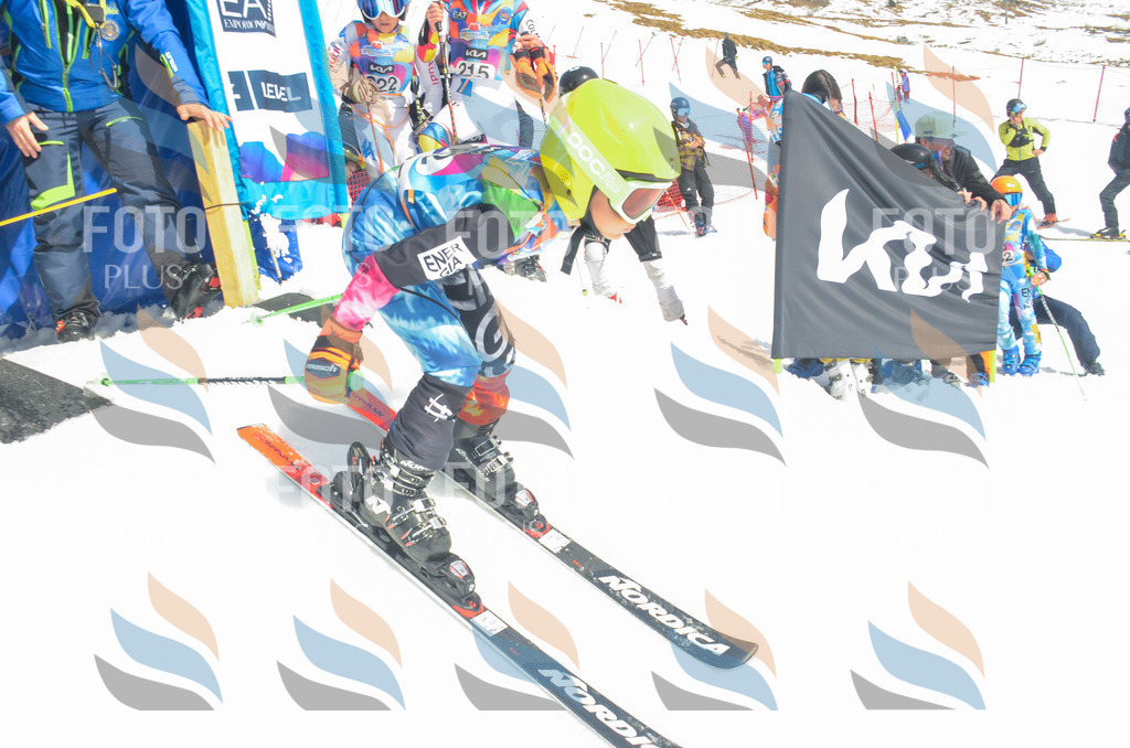 _ELE6694 | holidayphoto