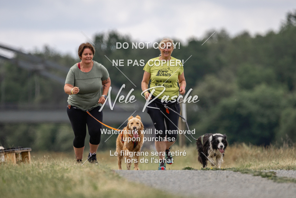 nelerasche_BuHu2026_SaCC1100-1200_248 | nelerasche