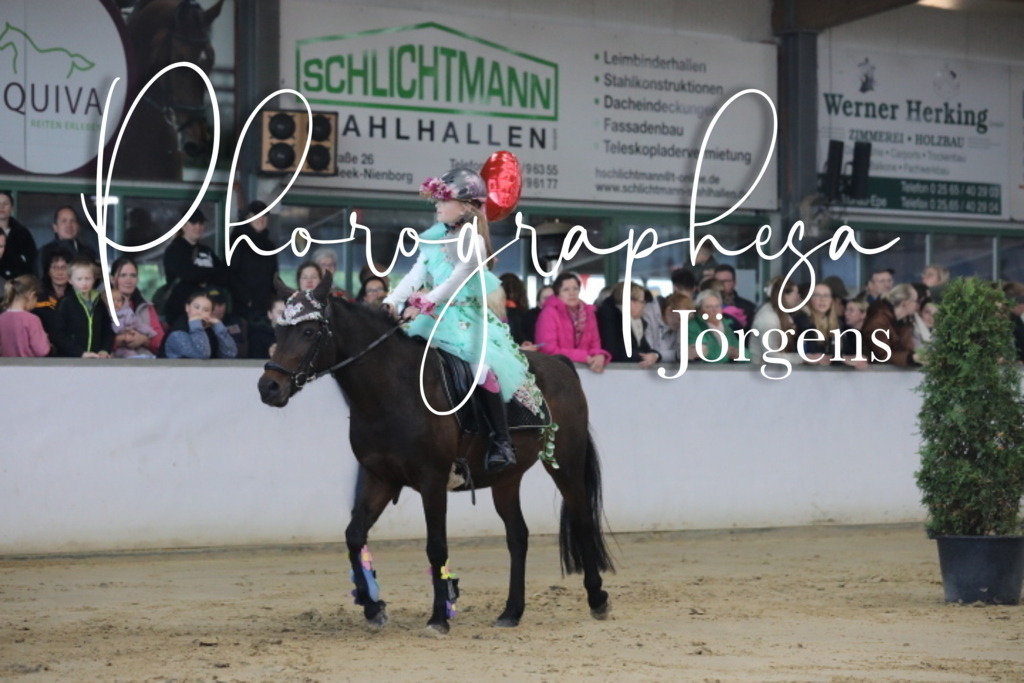 IMG_1785 | photographesa-joergens - Realisiert mit Pictrs.com