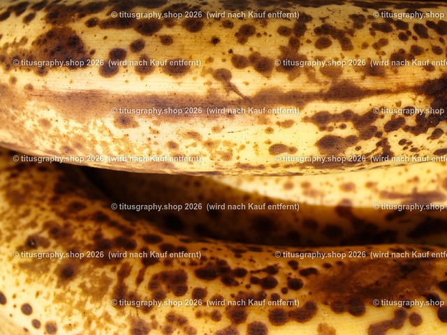 titusgraphy_P4065986-vz-ln | titusgraphy-shop: Geschenkideen mit Qualitätsfotos. titusgraphy-shop: gift ideas with quality photos. titusgraphy-shop: idées cadeaux avec photos de qualité.  - Realisiert mit Pictrs.com