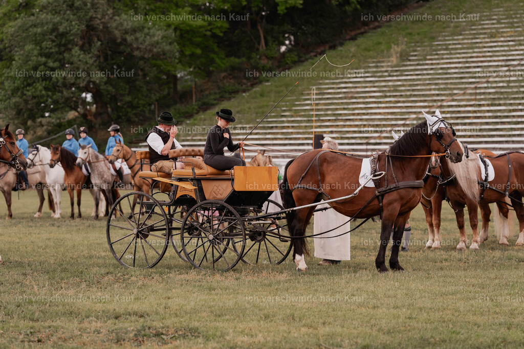 Showprogramm-5 | working equitationturnier fotograf videograf stoibphotography marixx film working equitation deutschland reitsport turnierfotografie eventfotografie equestrian events