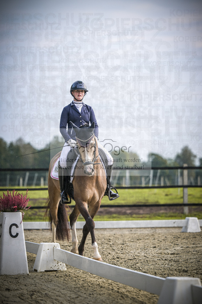 DOS_B032 | Entdecke hochwertige Reitturnierfotos von Foto Oger. Professionell, emotional und authentisch – jetzt Lieblingsmomente im Shop bestellen.Deutschlandweite Turnierfotografie. - Realisiert mit Pictrs.com