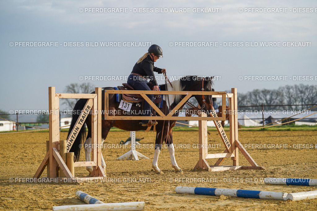 DSC09881 | Pferdegrafie