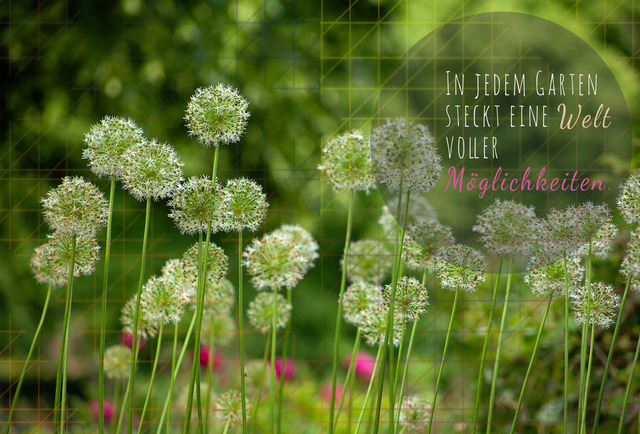 Mai_Riesenlauch | Schöne Postkarten, Kalender und Fotogeschenke für verschiedene Anlässe online kaufen – Urlaubskarten, Geburtstagskarten, Karten, Polaroids und Geschenke zu Weihnachten, Ostern, Muttertag, Valentinstag oder zur Hochzeit - Realisiert mit Pictrs.com