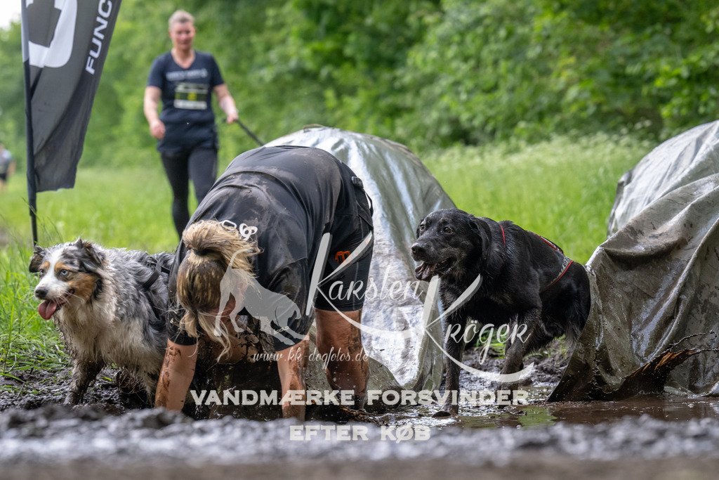 1245_ZZ93317 | kk-dogfotos