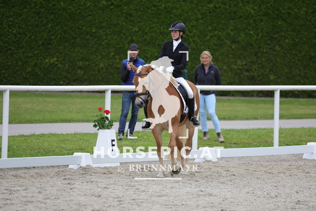 0P6A7095 | Willkommen bei Brunnmayr - Design & Fotografie – Ihrem Spezialisten für Reitturniere und Pferdeveranstaltungen in Oberösterreich, Salzburg und Bayern! Seit über 17 Jahren sind wir leidenschaftlich dabei.