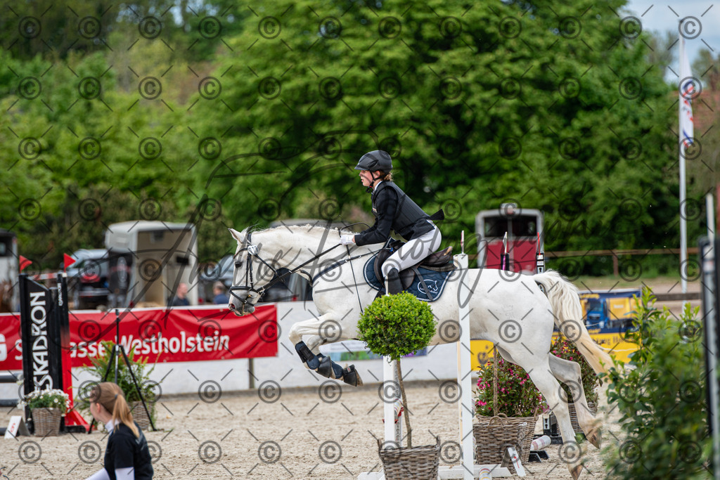 KPT_6217 | andre_photographic