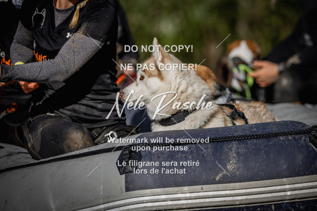 nelerasche_Sa1545-Ende_060 | nelerasche