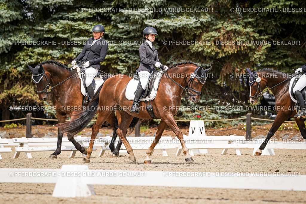 DSC03782 | Pferdegrafie