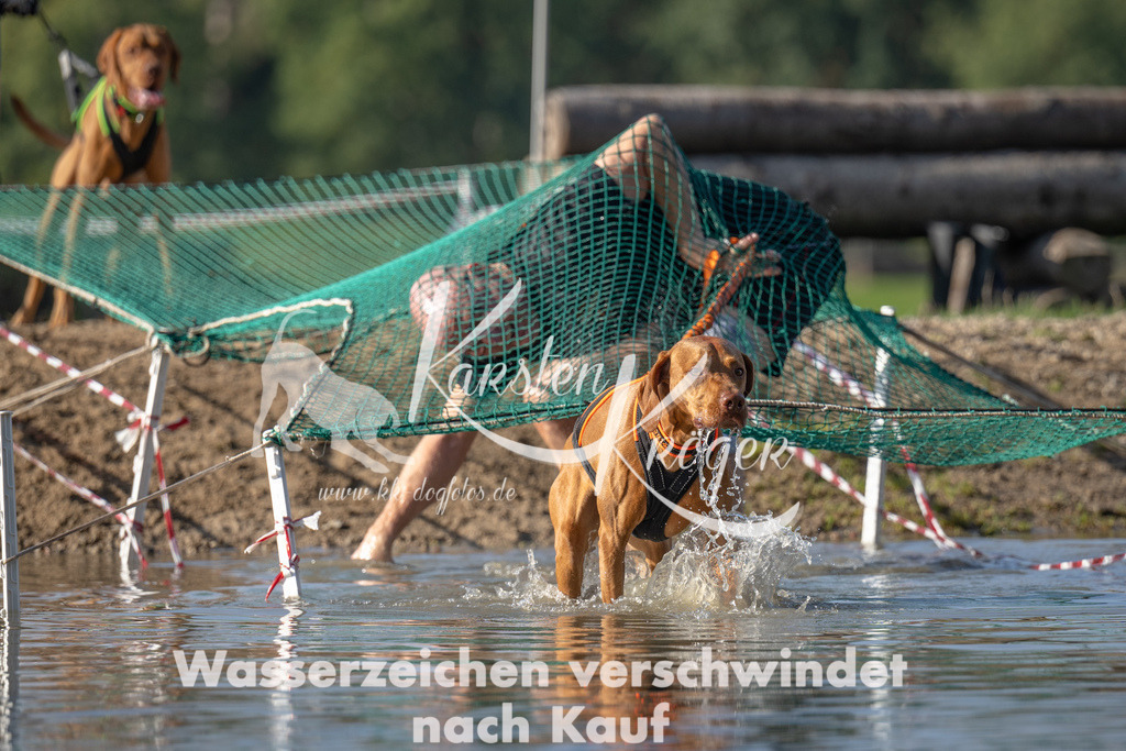 1119_ZZ92263 | kk-dogfotos