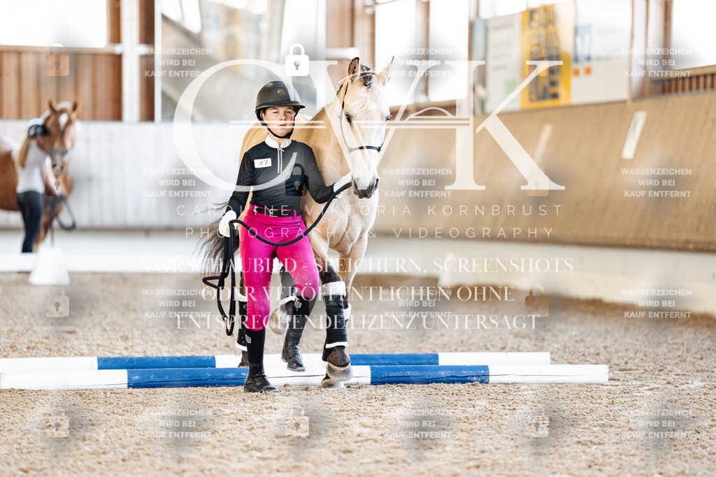 CK905379 | Turnierfotografie Pferdefotografie Trier Rheinland-Pfalz Pferdesport Reitsport Tierfotografie Sportfotografie Pferdevideo Pferdevideografie Equestrianvideography equestrianphotography  - Realized with Pictrs.com