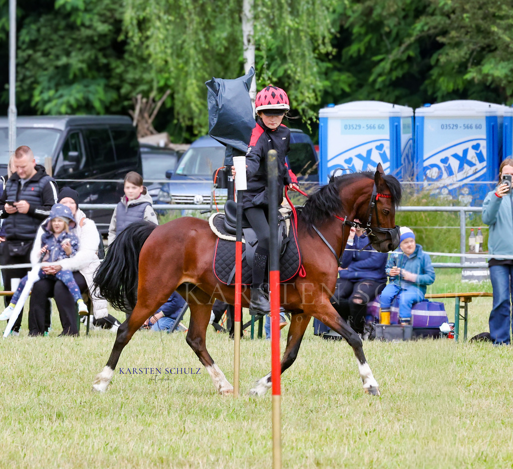 1B3A0350 | Reitsport Reiten