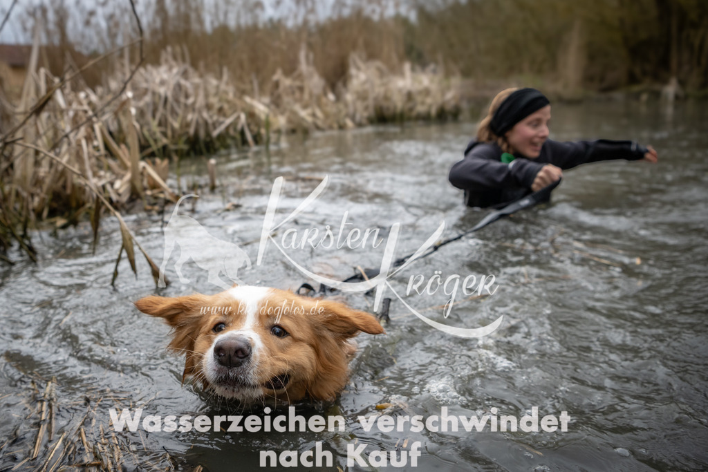0853_ZZ94328 | kk-dogfotos