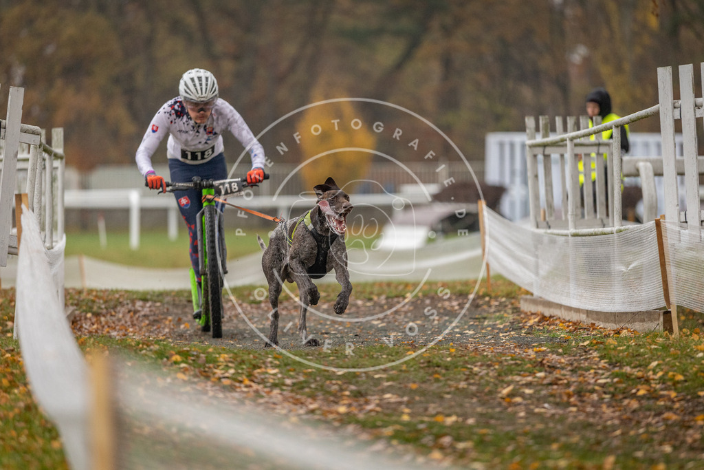 CaniXpix_DV3A7745 | Hundefotografie, Tierfotograf, Pfotenfotografie, Fotoshooting Hund, Hunde Portrait, Hundesport, Hundeportraits, Heideshooting, Hunde, Sportfotograf, Hundefotograf, Turnierhundsport, THS,  - Realisiert mit Pictrs.com