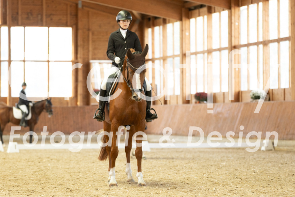 IMG_5936 | Creatify Fotografie