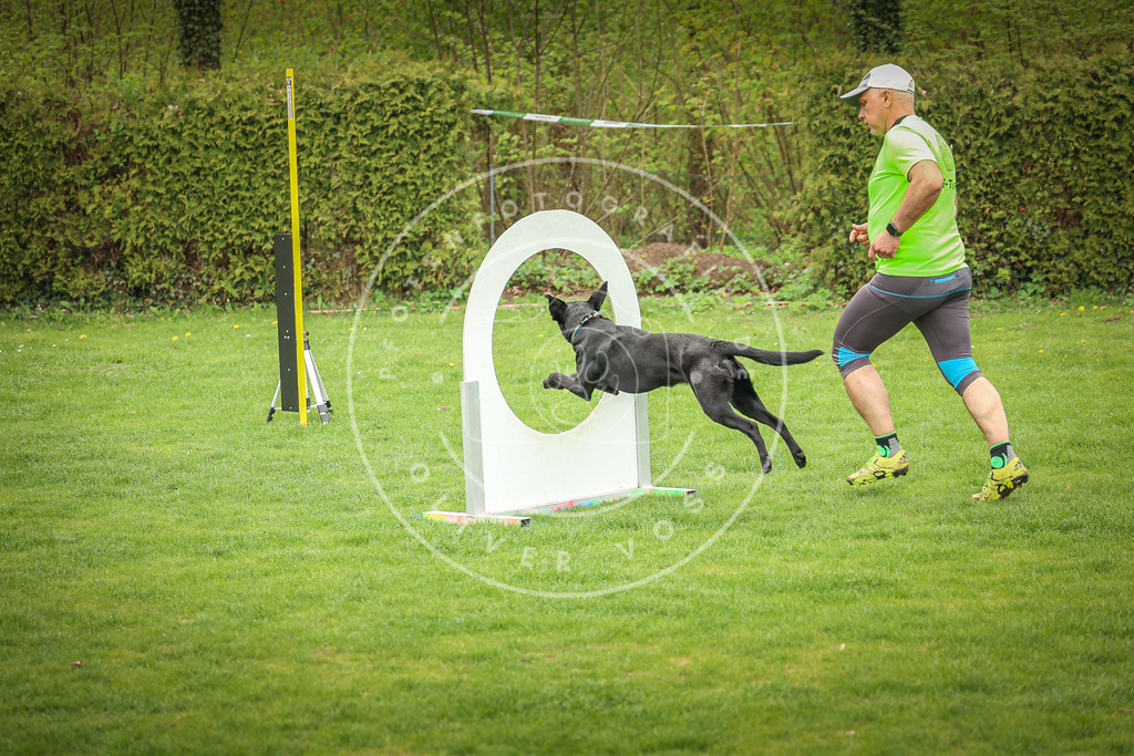 Pfotenfotografie_0L8A9833 | Hundefotografie, Tierfotograf, Pfotenfotografie, Fotoshooting Hund, Hunde Portrait, Hundesport, Hundeportraits, Heideshooting, Hunde, Sportfotograf, Hundefotograf, Turnierhundsport, THS,  - Realisiert mit Pictrs.com