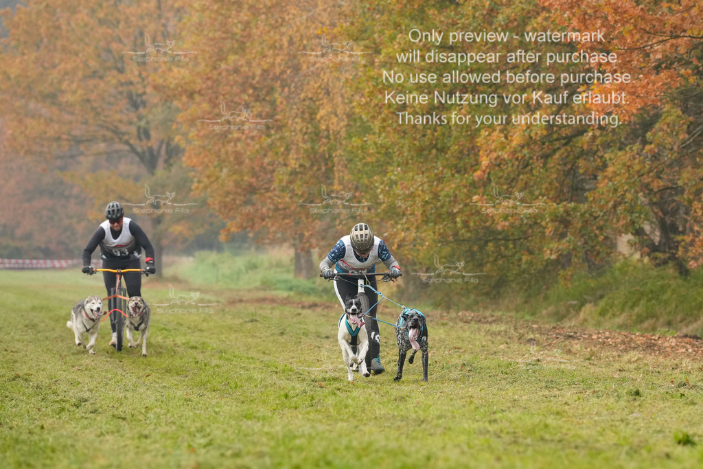 Visbeck_Sa_DS2DR2-3 | stephaniefillaphotographie - Realisiert mit Pictrs.com