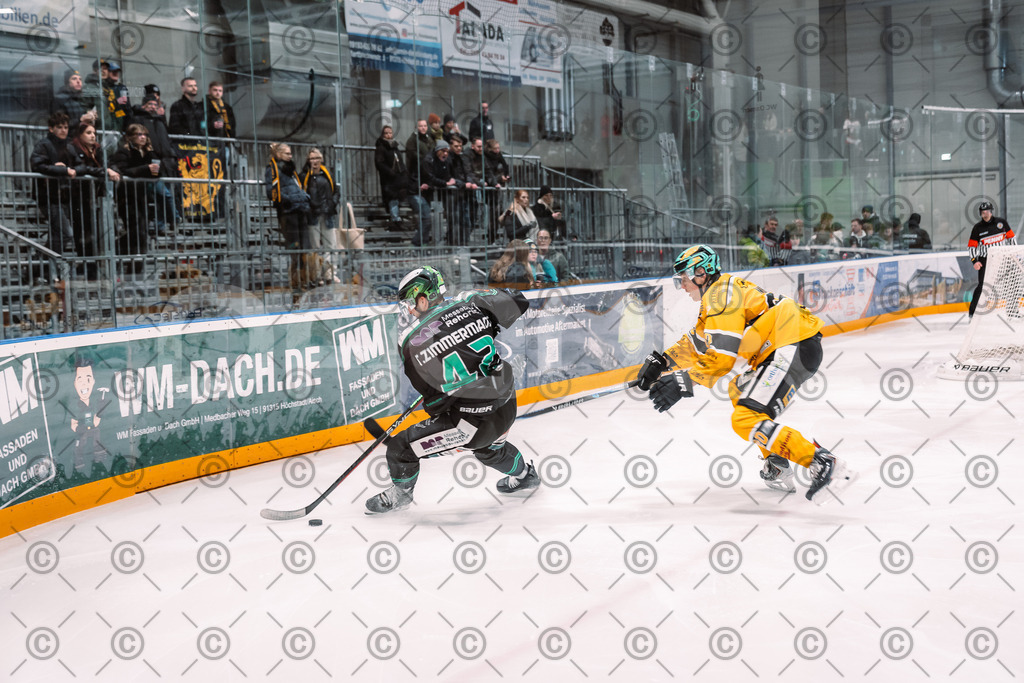 Alligators_vs_Toelz_18_11_2025-48 | Höchstadt Alligators Fotogalerie: Eishockey-Action aus Franken. Professionelle Spielfotos, Portraits & Stadionbilder zum Download. Jetzt entdecken! - Realisiert mit Pictrs.com