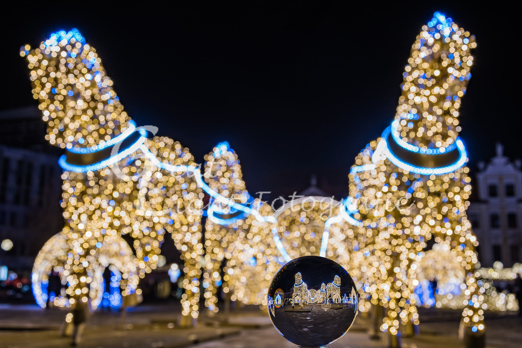 DSC_8961-2 | Great-Light Fotografie - Realisiert mit Pictrs.com